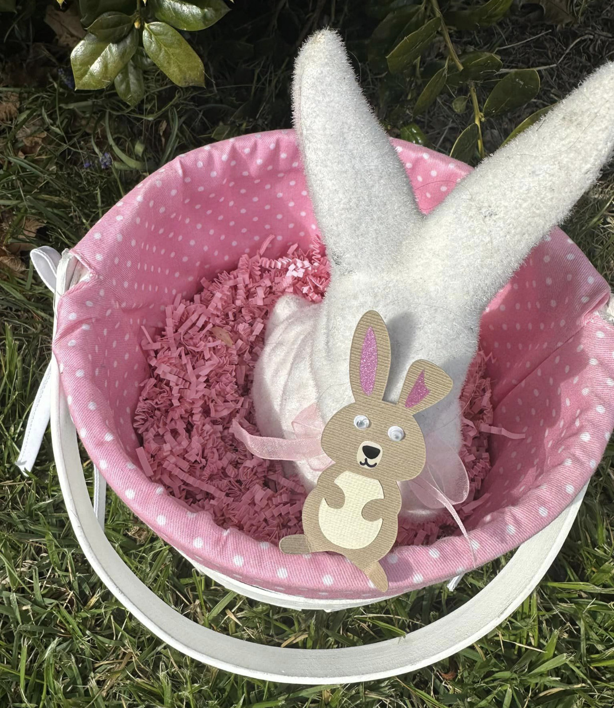 Bunny Craft