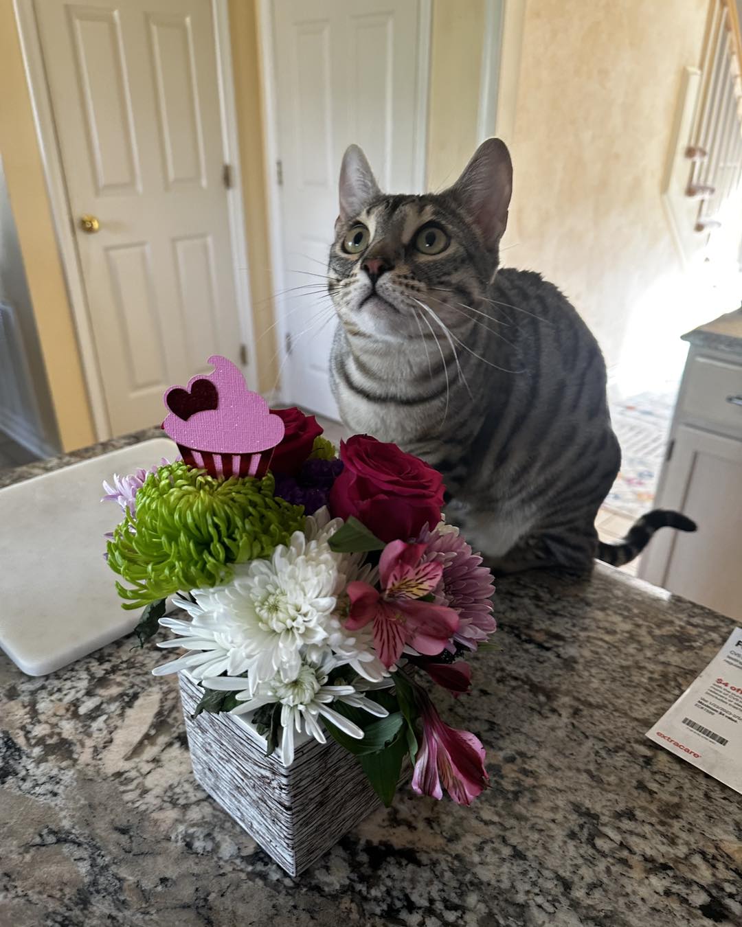 Crafted Valentine Cupcake CraftyRealtor